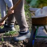 Calendario delle semine di settembre 2025: cosa fare in giardino