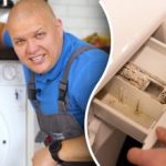 Come pulire la lavatrice da muffa e cattivi odori: i consigli dell'esperto per non perdere tempo Come pulire la lavatrice da muffa e cattivi odori: i