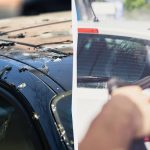 Gli uccelli non cagano più sulle auto: ecco cosa fare