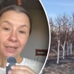 Il motivo che pochi conoscono: perché imbiancare gli alberi in