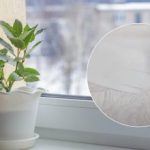 Il risultato vi stupirà: una ricetta per un rimedio che