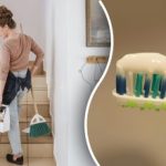 Le casalinghe sono invitate a trattare le loro case con il dentifricio: a cosa serve Le casalinghe sono invitate a trattare le loro case con