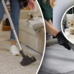 Non rimarrà nemmeno una traccia: 7 passaggi per eliminare l’odore