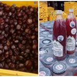 Piante selvatiche – soldi veri: i segreti di un business