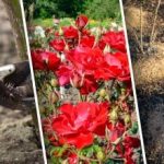 Protezione in un paio d’ore: un modo semplice e “traspirante”